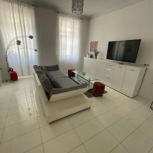 Grosszuegiges 85M2 City-Apartment - 2 Schlafraeume, Hundefreundlich, Westbahnhof Naehe T4